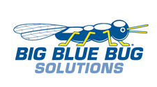 Big Blue Bug Solutions